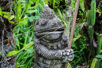 Close-up of a statue