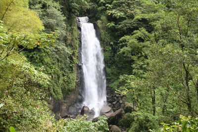 A beautiful waterfall in dominica