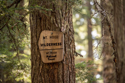 Close-up of sign hanging on tree trunk