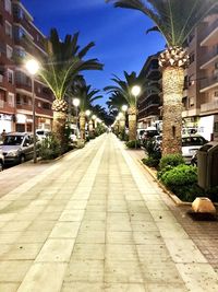 Street in city at night