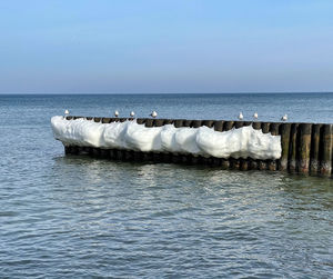 Scenic view of sea against clear sky