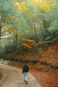 Rear view of person walking on footpath during autumn