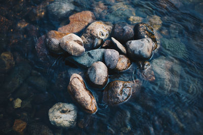 High angle view of pebbles on shore