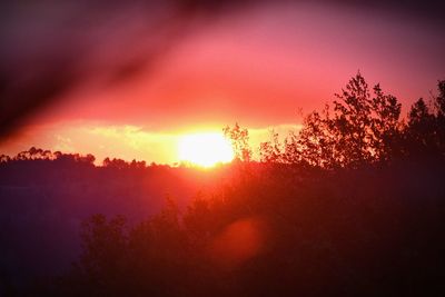 Silhouette trees against sky during sunset