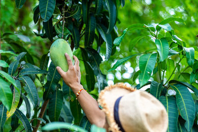 Young woman eating fruit on plant against trees