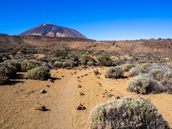Trail sendero 30 in the teide national park, tenerife, with a view of mount teide volcano