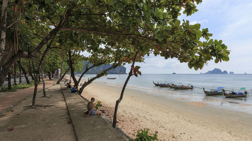 Scenic view of sea against trees