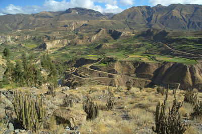 Scenic view of landscape and mountains against sky