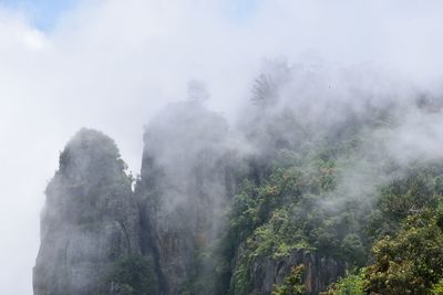 Scenic view of trees and mountains against sky