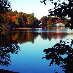 Reflection of trees in calm lake