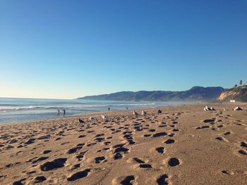 Scenic view of beach against clear blue sky