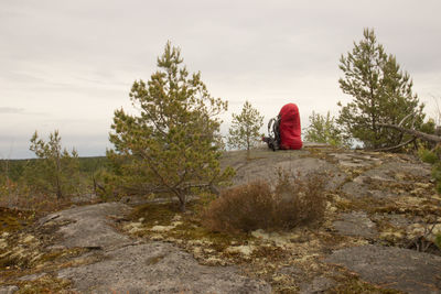 Rear view of man sitting on street against sky