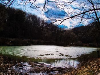 Scenic view of lake in forest during winter