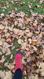 Low section of man standing on fallen leaves