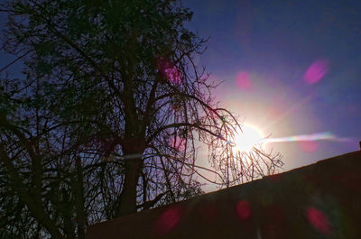 Low angle view of silhouette trees against sky during sunset