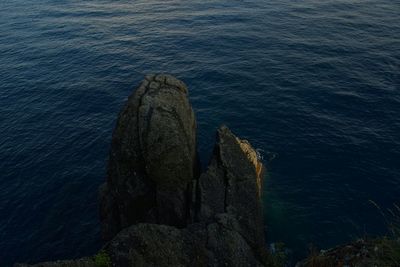 High angle view of rock formation in sea