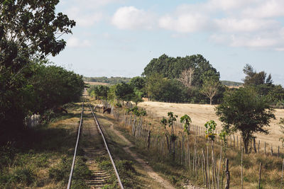 Railroad tracks amidst trees on field against sky