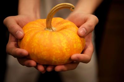 Cropped image of hand holding pumpkin