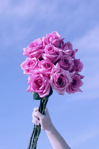 Close-up of pink rose against sky