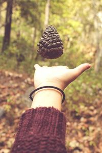 Close-up of hand catching pine cone