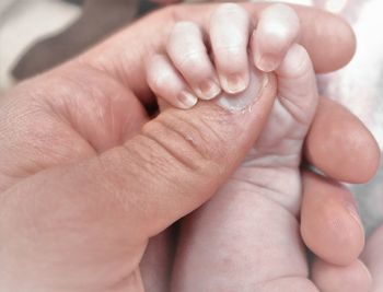 Cropped hand of newborn baby holding parent hand