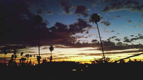 Silhouette trees at sunset