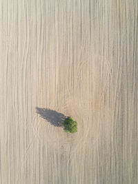 High angle view of bread on wooden table