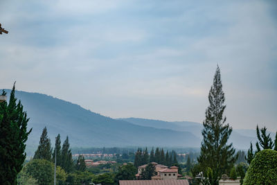 Trees and buildings against cloudy sky