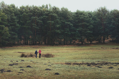 People walking on beach against trees