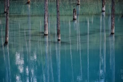 Reflections of tree trunks in turquoise blue water