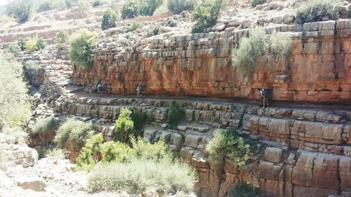 Scenic view of waterfall