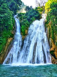 Scenic view of waterfall in forest