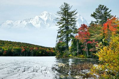 Scenic view of lake by trees against sky