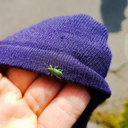 Close-up of hand holding knit hat with insect