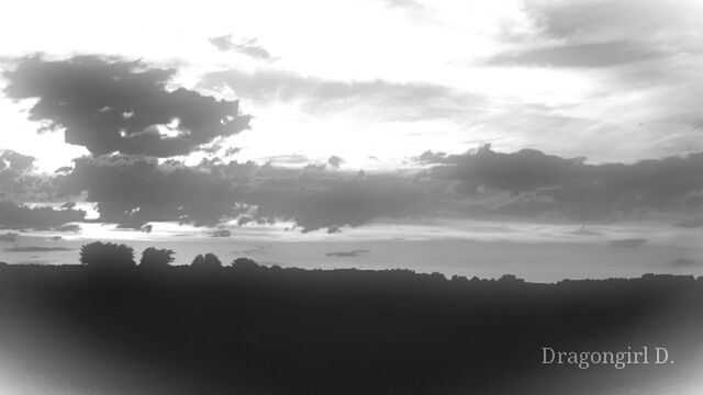 Filippa K asks: What inspires you?