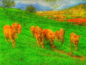 Horses on field against sky