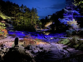 Illuminated plants by river against sky at night