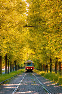 View of railroad track