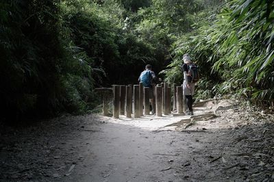 Rear view of people walking on road amidst trees in forest