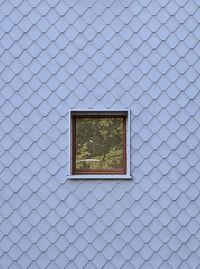 Close-up of window on wall of building