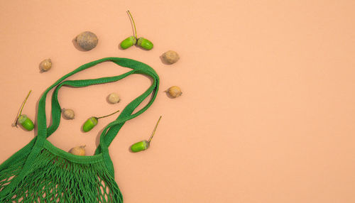 Zero waste stylish banner. eco bags, organic acorns. eco friendly and reuse concept. top