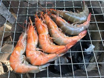 High angle view of fish on barbecue