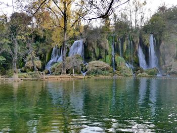 Scenic view of lake by trees in forest