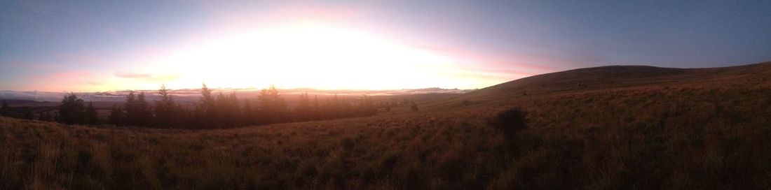 Scenic view of field against sky during sunset