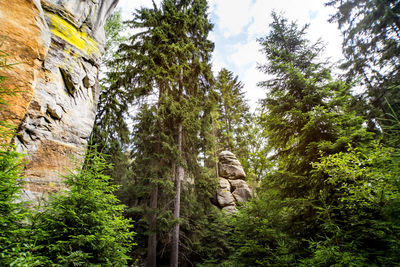 Low angle view of statue against trees