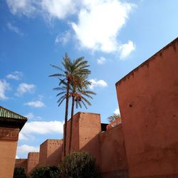 Low angle view of palm trees and buildings against sky