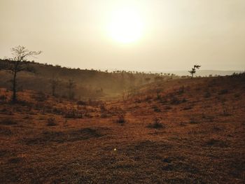 Scenic view of field against sky during sunset