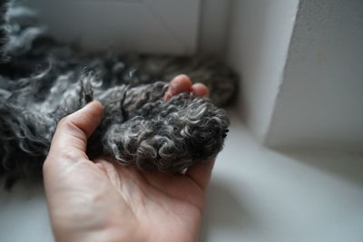 Close-up of person holding hand at home