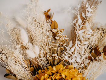 Dried and preserved flowers in earthy tones