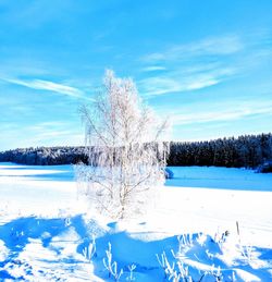 Snow covered landscape against blue sky